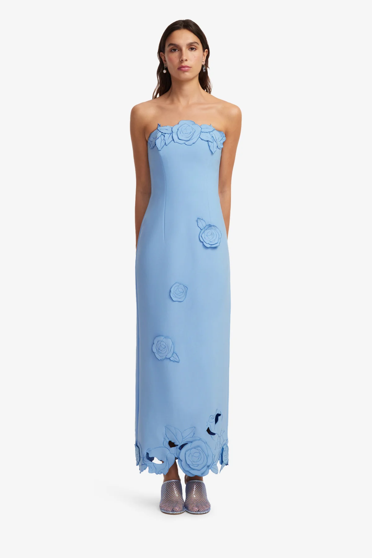 Rayna Appliqué Bustier Maxi Dress - Pastel Blue - Image 2