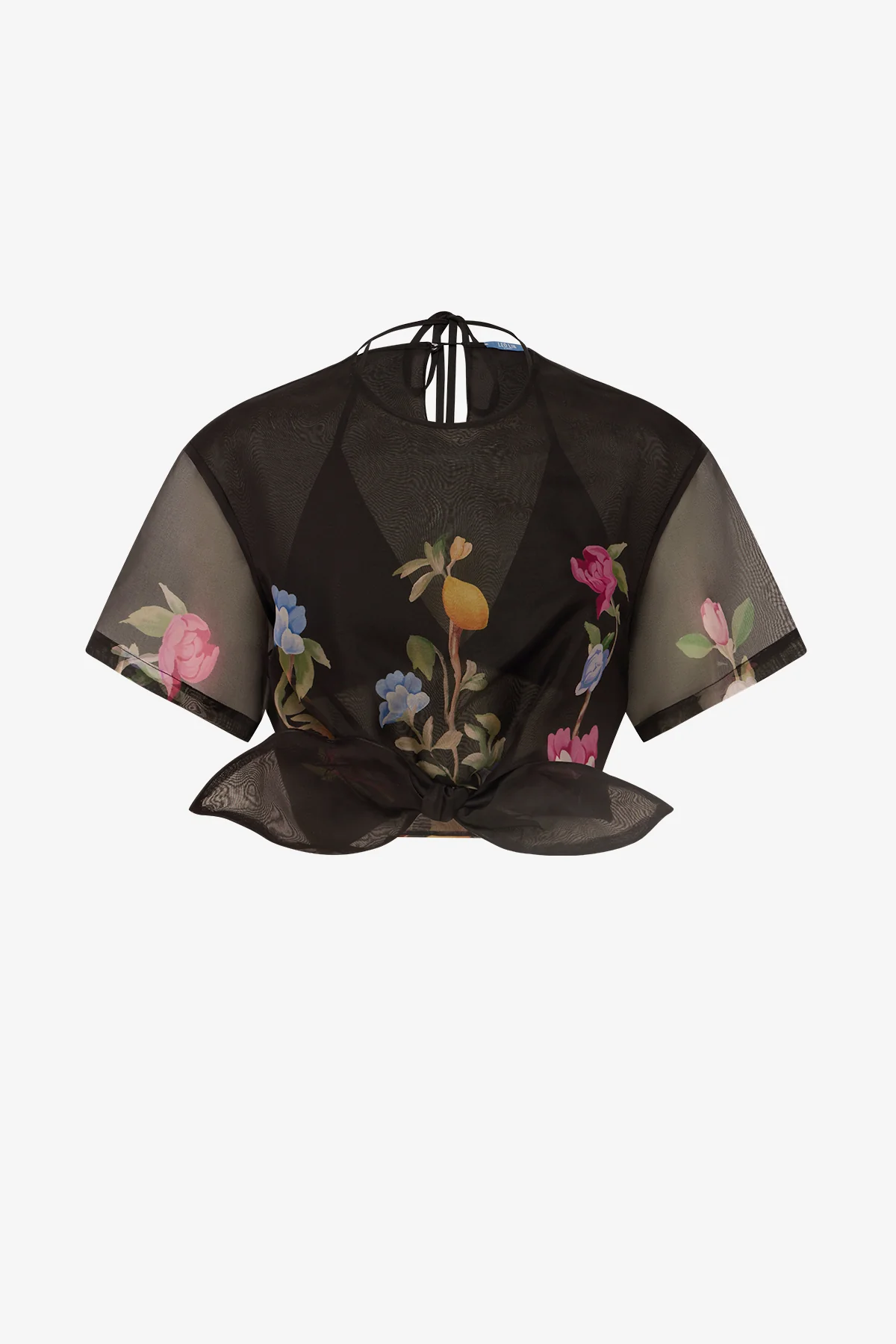 Tops & Shirts